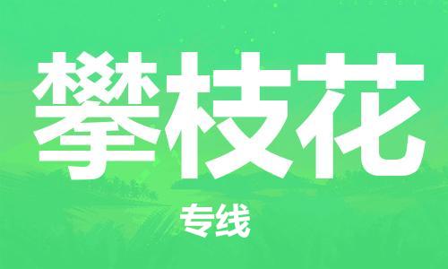 石家庄到攀枝花物流公司|石家庄至攀枝花货运专线