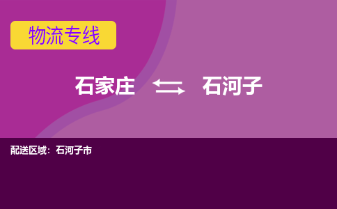 石家庄到石河子物流公司-石家庄至石河子货运专线
