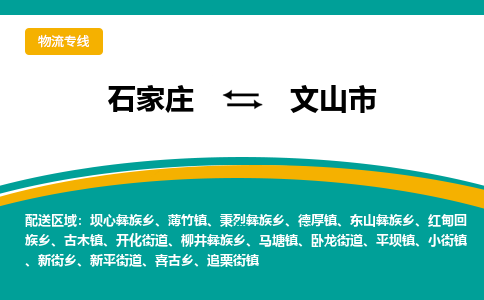 石家庄到文山市物流公司-专业团队/提供木架包装货运服务