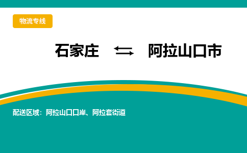 石家庄到阿拉山口市物流公司-专业团队/提供包车运输服务
