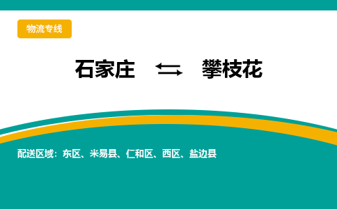 石家庄到攀枝花物流公司-专业团队/提供包车运输服务