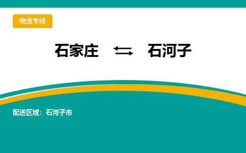 石家庄到石河子物流公司-专业团队/提供包车运输服务