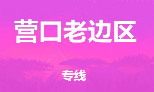 邢台到营口老边区物流公司-节假日无休/全+境+闪+送保时效