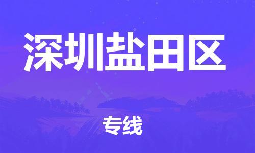 石家庄到深圳盐田区物流公司-物流一点通，发货更轻松
