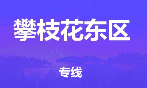 石家庄到攀枝花东区物流公司-物流一点通，发货更轻松